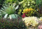 Tannas Mountplanting-garden-and-landscape-design-24.jpg; ?>