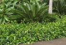 Tannas Mountplanting-garden-and-landscape-design-45.jpg; ?>